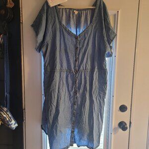 Women's Plus Size Denim Dress